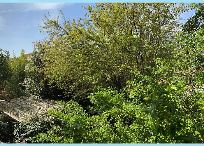 Hotel La Bulle Dans Le Palmier à Toulouse